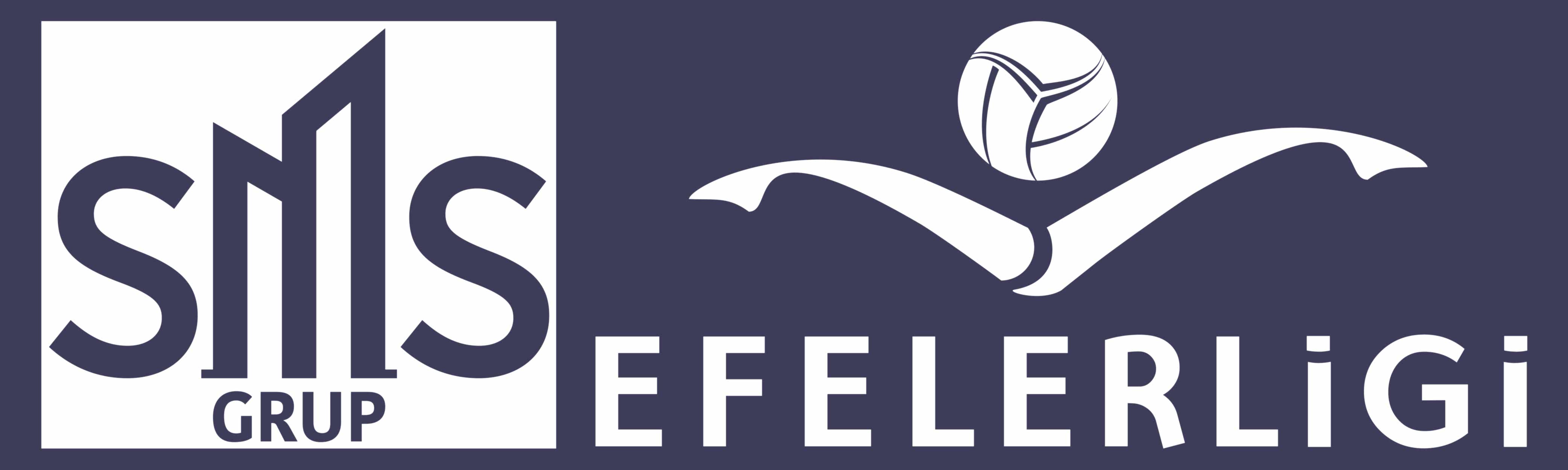 Slider Altı Efeler Ligi
